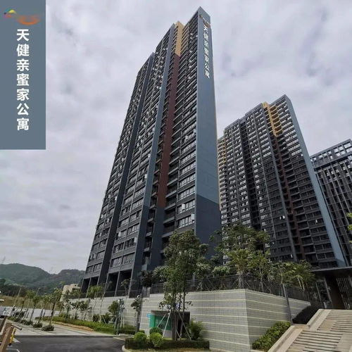 最低19元 m2 深圳多区公租房有好消息,快申请