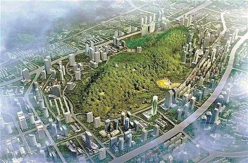 铁仔山将成大湾区高科技产业新高地 深圳商报数字报