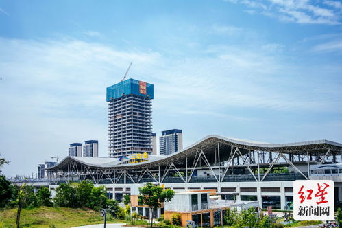 争当城市绿色低碳发展新高地 成都首个集中供冷供热的tod来了