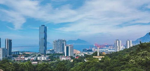 即日起,全市检查