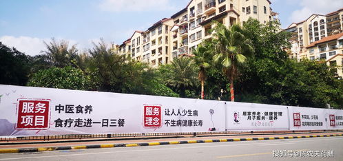 布局大健康产业,构建高端康养服务体系