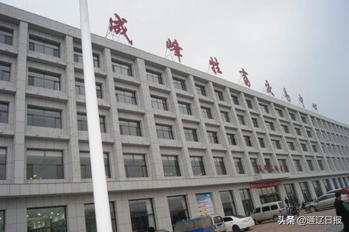 成峰牲畜交易市场 发展牛产业 让贫困户过上 牛 日子