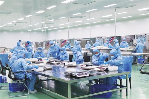 小土豆驱动大发展 全链条打造金产业 定西市发挥资源优势加快建设全国马铃薯全产业链发展高地