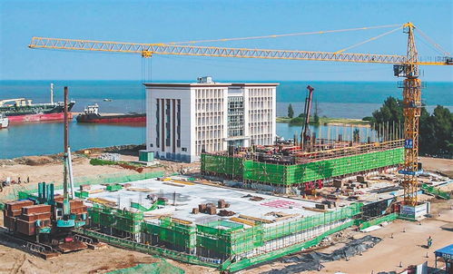 加快项目建设 助力封关运作