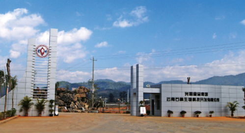 了不得 20家子公司 50大品牌 1600亿营收,这就是光明食品集团