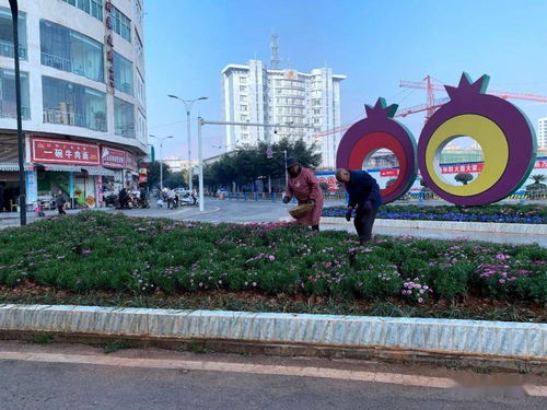 县城管局扎实做好春节期间城市运行保障工作