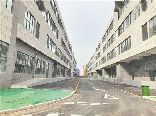 北方功能食品产业园 培育发展新动能 打造发展新引擎