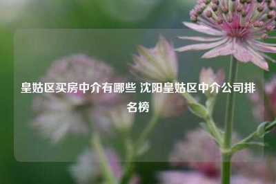 皇姑区买房中介有哪些 沈阳皇姑区中介公司排名榜