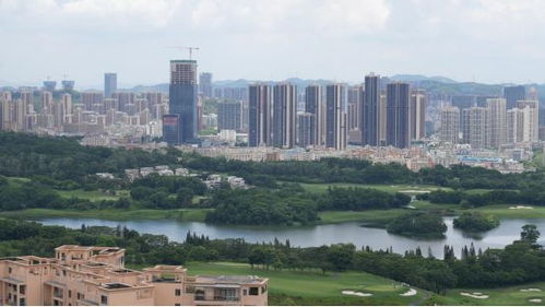 大湾区2024年1月深圳房地产项目销售top10