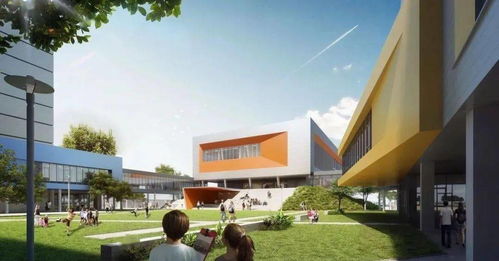 教育 2020年,最新上海各区小学一二三梯队大全