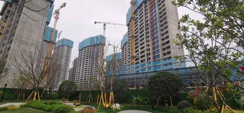 莆田与通辽市房地产行业调整营销策略，暂停线下聚集性活动