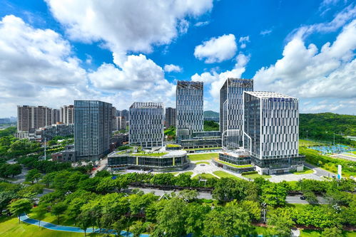 新城市志｜营商环境连续5年第一，广州开发区凭什么？